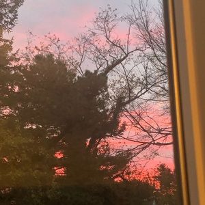 Meet your Posher, Katy